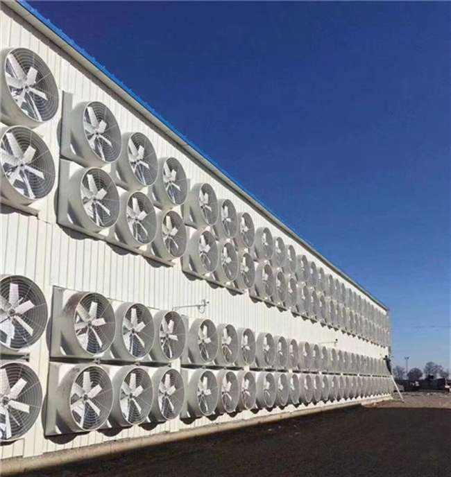 負壓風機在廠房車間應(yīng)用中是如何降溫的?車間降溫方案有哪些?看看這七種車間降溫通風方案那種適合